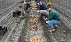 News image: Meer soorten, meer verrassingen!